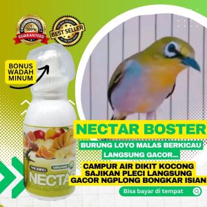 NECTAR NEKTAR 60ML PROBIRD VITAMIN BURUNG PLECI KOLIBRI MENINGKATKAN GACOR POWER STAMINA