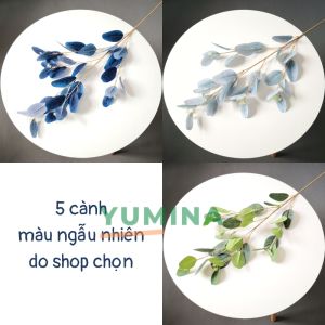 Bó 5 Cành Khuynh Diệp 90CM Phong Cách Châu Âu Màu Độc Đáo Trang Trí Nhà Cửa Sang Trọng Decor Chụp Ảnh Nhà Hàng Sự Kiện