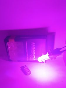 SATU BUAH LUMINOS LED T10 JELLY 6 MATA untuk sein senja plat nomor mobil motor