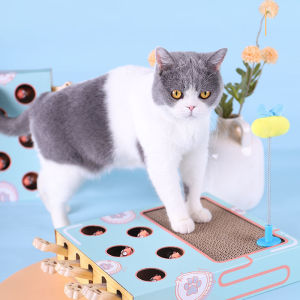 Hokaichi Cat Playing Hamster Toy Hamster Machine Cute Toys For Cat Kitten Cat Scratching Pad猫爪板