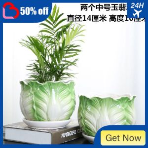 Flowerpot Ceramic With Tray Large Extra Succulent Clearance Creative Green Rill Plant Indoor