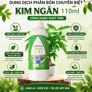 Bộ Chăm Sóc Cây Kim Ngân Thủy Sinh - Dưỡng Lá Bật Chồi Nhanh Kích Rễ Chống Vàng Lá Sạch Nước Bổ Sung Dinh Dưỡng