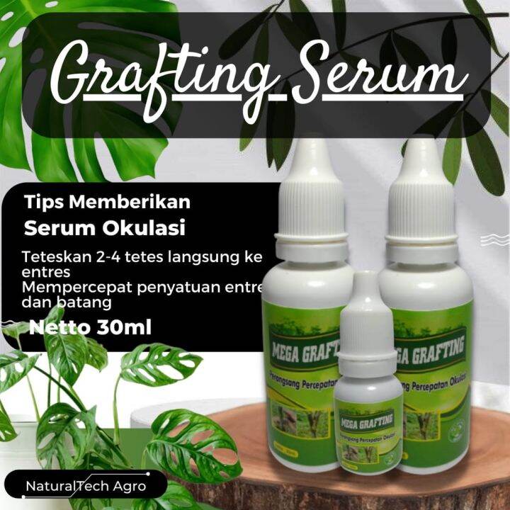 Pupuk Obat Okulasi Grafting Serum Mega Grafting 30ml Sambung Tunas