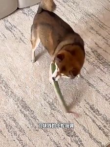 Durable Snake Shape Dog Chew Toy Crinkle Sound Plush Pet Cat Toy Bite Resistant Reduce Boredom