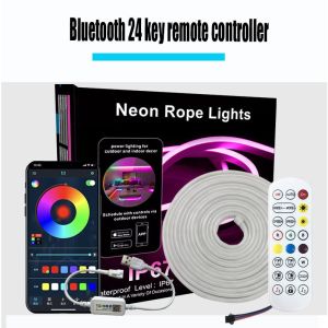 [😀SG Ready Stock]Neon color led light with music bluetooth outdoor waterproof flexible silicone light strip