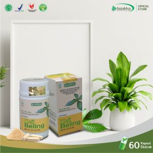 Kapsul Keji Beling Obat Herbal Batu Ginjal