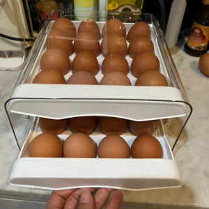 Tempat Telur 2 Tingkat Egg Storage Box Organizer Rak Telur Box Penyimpanan Serbaguna