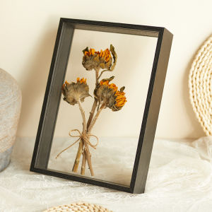 SG Seller [Super Offer]Double-Sided Transparent Acrylic Cover Art Display Box Wooden Frame for Flowers Specimen DIY Valentines Gift Teachers Day Gift Mothers day Gift
