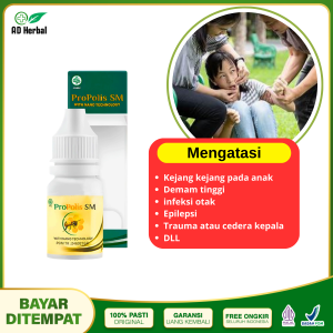 Obat Epilepsi Kejang KejangSering KejangEpiliptikus Epilepsi Sakalor Propolis SM