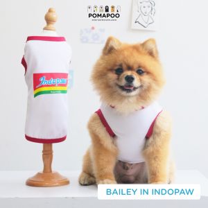 POMAPOO - Baju Kucing dan Baju Anjing Indopaw
