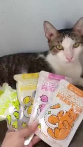 RECORD 1 set Cat Wet Food Pouch Nutritional balance goodest cat food Perfect for all ages