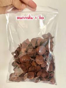 หมากแห้งใหม่100 กรัม หมากเคี้ยวหั่นแว่น หมากคนแก่ หมากสวน ขนาดทดลอง