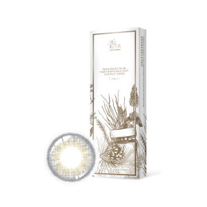 Pegavision - Kaori Lavender Gray 10 pcs Daily Color Contact Lens