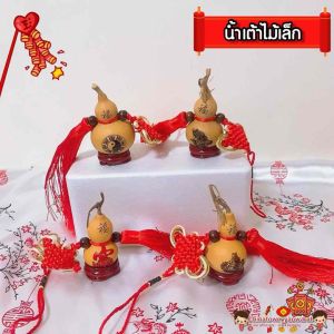 น้ําเต้าปรับฮวงจุ้ย น้ําเต้าแขวนมี4แบบ เงินหมุนเวียนเข้ามาตลอด น้ําเต้าแท้ น้ําเต้าไม้ น้ําเต้าทอง น้ําเต้าดูดทรัพย์