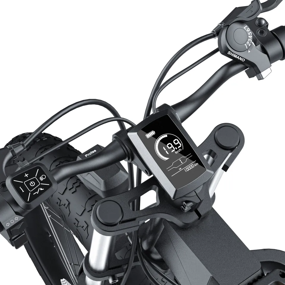 COSWHEEL T24 ELECTRIC BIKE