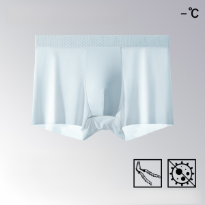 10A Grade Cordyceps Antibacterial Ice Silk Cool Mens Underwear  Breathable Comfort  Protects Private Health