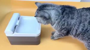 TerraLux USBWater Fountain Wireless Sensor 4L Ceramic Automatic Cat Feeder For Cats And