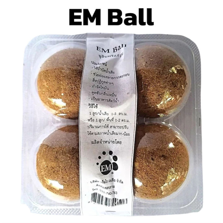 5 อันดับ EM บอลและน้ำยา EM ยี่ห้อไหนดี? อัปเดต 2025 เพื่อสวนสวย น้ำใส ไร้กลิ่นเหม็น