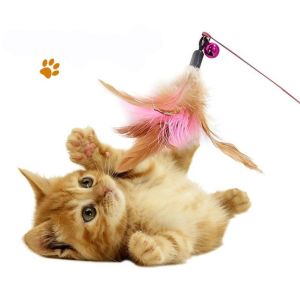 HCM* Cần câu lông vũ - Cần câu trêu mèo dây thép gắn lông vũ