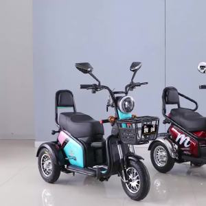 Electric Tricycle Small Household Womens Scooter Pick-up Children with Shed Elderly Battery Car Electric Trycycle Elderly