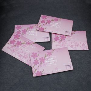[Treetop Culture] 2pcs Cleaning Care for Silver earring and Jewellery Silver Polishing Cloth restore brilliance