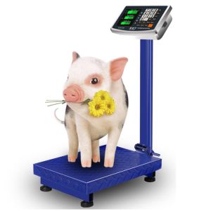 Cân Bàn Điện Tử Tính Tiền 180kg 50 Gr Chính Xác Ổn Định Bền Bỉ Electric Digital Scale PVN5986