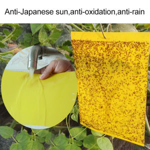 100PCS Strong Flies Traps Bugs Sticky Board Yellow Double-Sided Sticky Insect Board Catching Gnat Traps Killer For Indoor Outdoor Flying Plant Insect Like Fungus Gnats Whiteflies Aphids Leaf Miners Other Flying Plant Insects 10x20cm