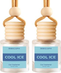 Car Air Freshener Hanging Diffuser Amber Fragrance Oil