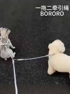 FCVOA    Anti-Tangle Dog Leash for Two Dogs