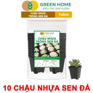 Bộ 10 Chậu Nhựa Trồng Sen Đá Greenhome 7x8cm Siêu Bền Đẹp Đa Năng Trồng Mọi Loại Cây Tiết Kiệm Không Gian