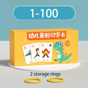 250Pcs Chinese Character Learning Cards Pictogram Literacy Flash Cards with Storage Rings for Kids