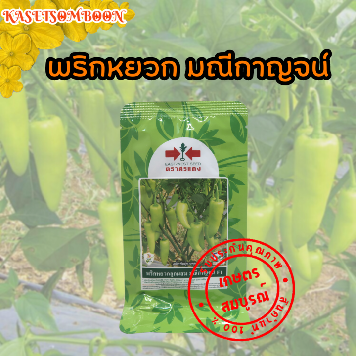 เมล็ดพันธุ์พริกหยวกมณีกาญจน์ ตราศรแดง สีเขียวอ่อน