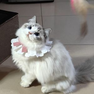 Cute Cat Bib Saliva Towel Dog Bell Collar Pet Decoration