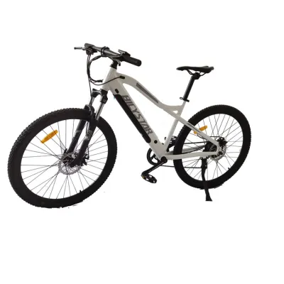 2020 M600 36V 250-350W double full suspension fat tire Chinese mountain ebike ecycle electric bicycle