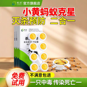 Ant Killer for Small Yellow Ants   Outdoor Garden Plant Non-Toxic Ant Repellent and Killer Attractant Bait for Large and Small Ants