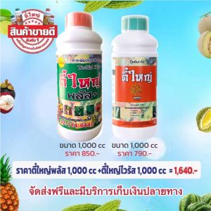 ตี๋ใหญ่พลัส+ตี๋ใหญ่ไวรัสเพลี้ยไฟset 2 ชิ้นขนาด 1000 cc