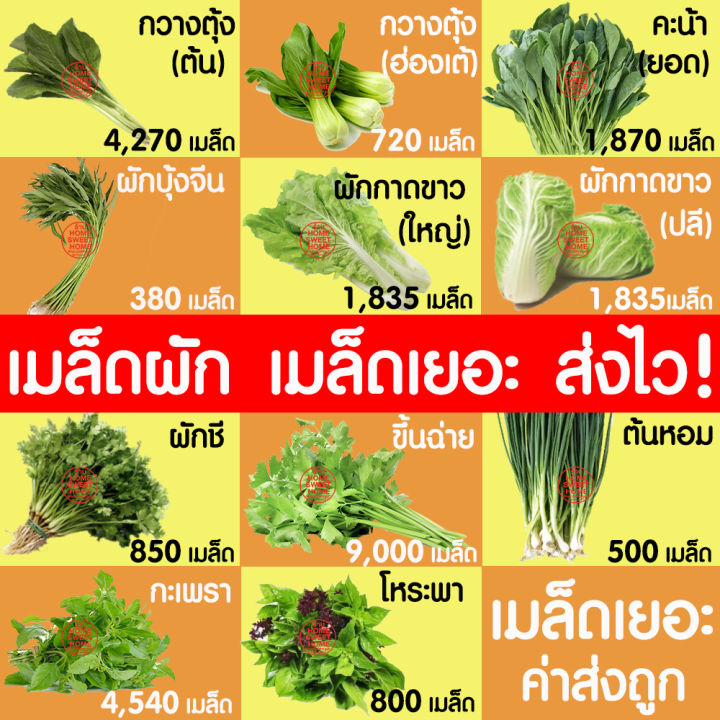 เมล็ดพันธุ์ผักสวนครัวและผักพื้นบ้านรวม