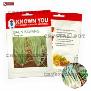 Benih Bibit Daun Bawang Fragrant Known You Seed - KYS DAUN BAWANG FRAGRANT