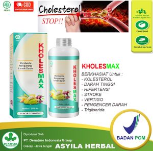 Kholesmax Obat Paling Ampuh Menurunkan Kolesterol Lemak Darah Trigliserida Darah Tinggi Kesemutan.