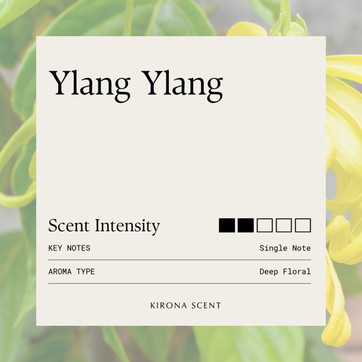 [KIRONA SCENT] Aura Reed Diffuser 250ml | Premium Quality Essential Oil ...