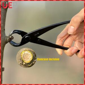 [UEB] เครื่องมือทำสวน 210mm คีมตัดแต่งพืชปลายกลมสำหรับการดูแลต้นไม้และการตกแต่งสวนอย่างละเอียด