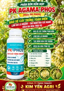 (Chai 1 Lít) Phân bón hỗn hợp PK AGAMA-PHOS [Hiệu PK PHOS]: bảo vệ cây trồng toàn diện làm già lá nhanh tạo mầm hoa cực mạnh kích ra hoa trái vụ
