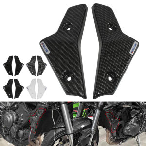 Motorbike For Triumph Street Triple 765 R RS 2017 2018 2019 2020 2021 2022 Front Radiator Side Panel Cowl Left Right Fairing Cover