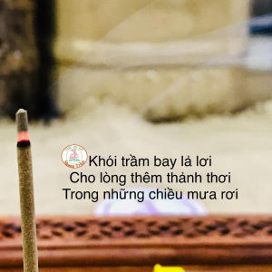 NHANG KHÔNG TĂM TRẦM HƯƠNG QUẢNG NAM NẮP VÀNG- LOẠI SIZE TO- ĐƯỜNG KÍNH 2MM- TANUSTORE