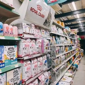 Hạt khô Royal Canin Kitten cho mèo con