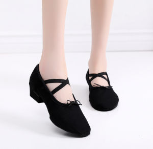 [Free Shipping] Canvas Breathable Latin Dance Shoes Practice Shoes High-Heeled WomenS Dance Shoes Standard Ballroom Dance Shoes Jazz Dance Shoes Teacher Shoes