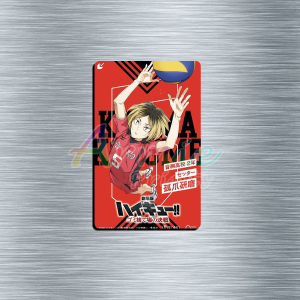 Anime | Haikyuu v2 ATM Size Ref Magnets | Decor | Collectibles
