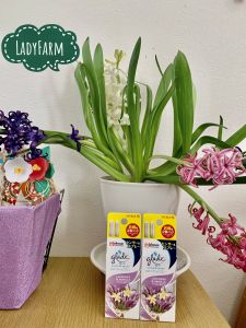 Xịt thơm phòng tự động Glade - Nhật Bản