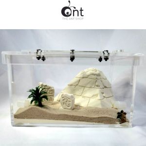 The Forgotten Egyptian Civilisation - Ant Farm Ant Keeping Ant Cages Ant Formicarium Ant Outworld