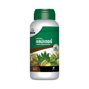 อะมิโนโปรตีนจำเป็นสำหรับพืช 20 ชนิด แรปเตอร์ ปุ๋ยน้ำ บำรุงพืช ปลอดภัยไม่มีเคมีตกค้าง 100%